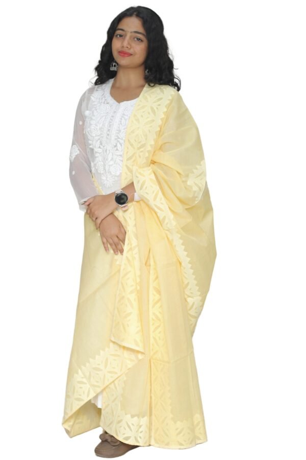 Cotton Applique cutwork Dupatta - Image 3