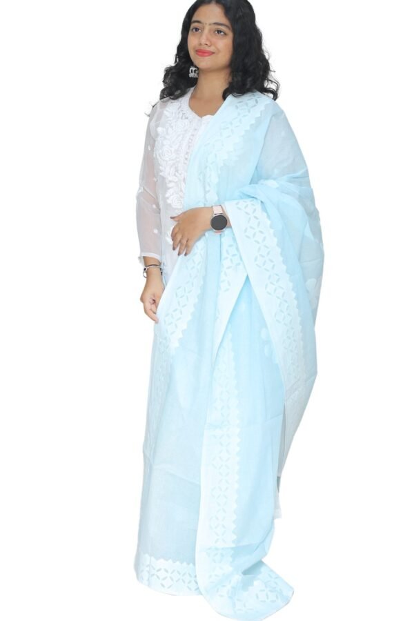 Applique Work Hand Made Organdi Dupatta (blue) - Image 2