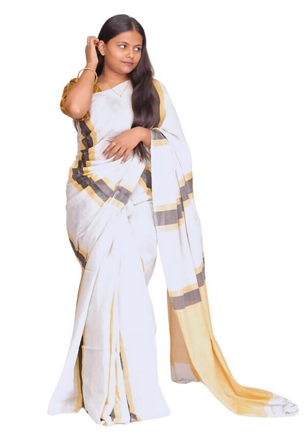 Zari Handweave Tissue Saree with Blouse Piece (Golden) - Image 5